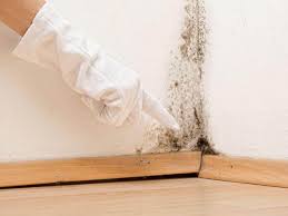 Best Mold Removal for HVAC Installations  in Warm Springs, OR